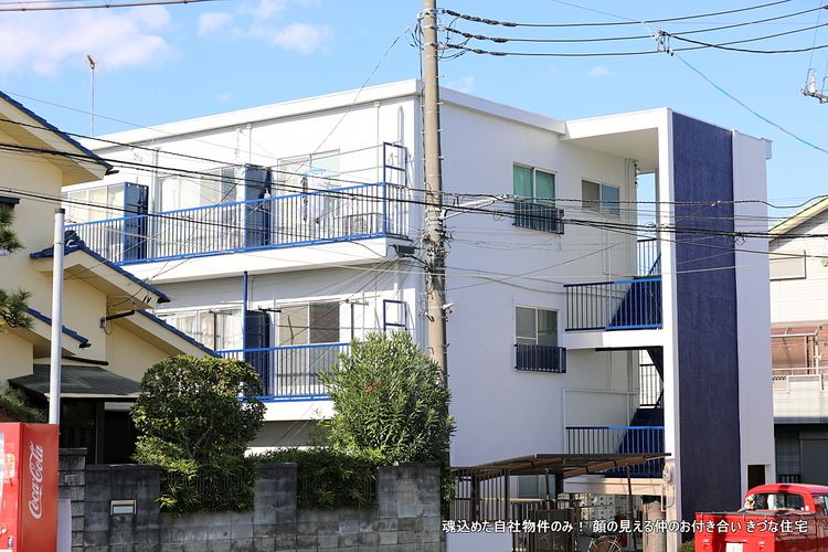 猫と暮らせるリノベーション済みマンションです。　一人で住んで独身貴族の広さ、二人で住んでちょうどいい。　今の時代には造らっることが無い２Kという間取りは、すごくいい。　１Rや１Kでは狭い、家賃は大して変わらず広い家に住める。２LDKになれば家賃は跳ね上がります。